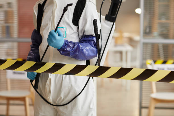Professional Sewage Cleanup technician working in Boulder, CO
